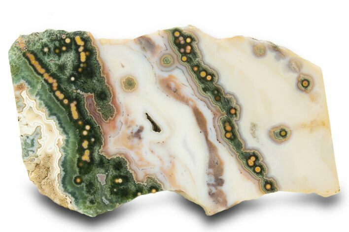 Multi-Colored, Orbicular Ocean Jasper Slab - Madagascar #334892